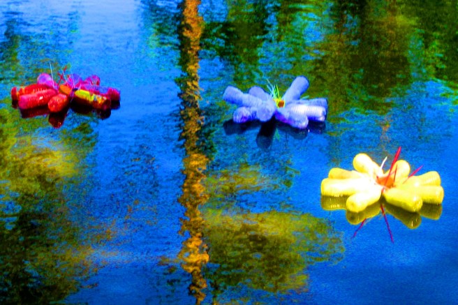 color bottles elm park