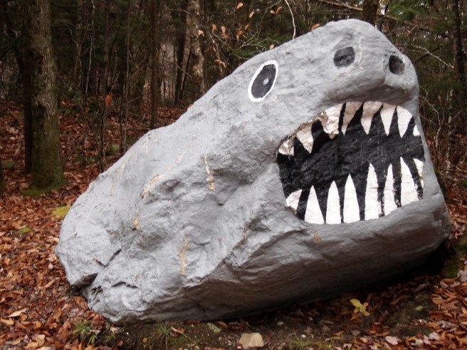 rock shark.JPG