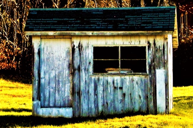 new olympus pictures 234b (4)